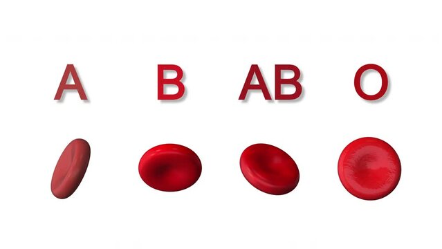 ABO system and human blood groups