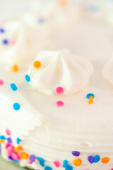 Obraz na płótnie Canvas Birthday cake with funfetti sprinkles
