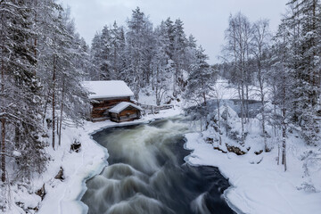 winter river in the forest