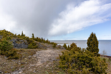 A sea with a shore overgrown with small trees and moss.