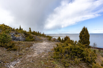 The sea with a gravel path along the shore overgrown with small trees and mosses.