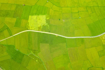 Foto auf Acrylglas Reisfelder Aerial view natural of the green and yellow rice field, of agriculture in rice fields for cultivation in Nan Province, Thailand.