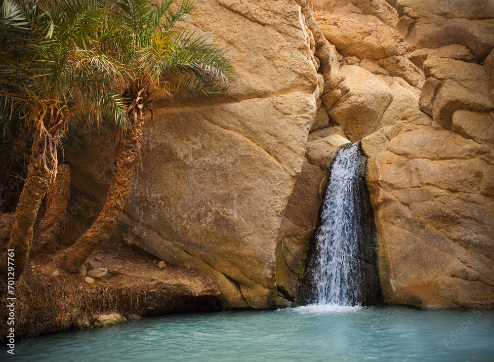 Wall mural View of mountain oasis Chebika, Sahara desert, Tunisia, Africa