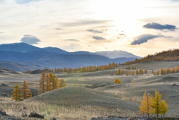 Early morning in the Kurai steppe of Altai in autumn. Altai Republic. Scenery.