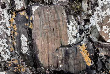 Rock paintings in the Kalbak Tash tract. Petroglyphs dating from 1000 to 5000 thousand years BC. Altai Republic.
