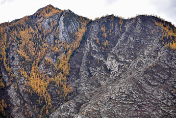 Mountain landscape. Mountains with trees in autumn.