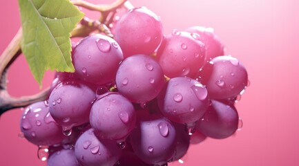 bunch of grapes on a vine