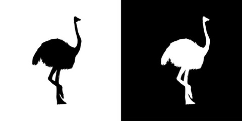 Ostrich silhouette icon. Animal icon. Black animal icon. Silhouette