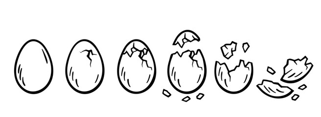 Eggs set. Chicken, quail, duck eggs. Different egg sizes collection. Bird, snake, turtle, dinosaur eggs. Vector design element for book illustration, poster, package design. Spotted, solid eggs