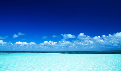 Fototapeta na wymiar tropical sea under the blue sky