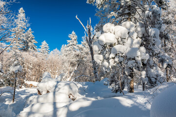 Lao Rik soft rime and snow landscape, northwest of Zhenbong Mountain, at the junction of Helong...