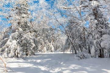 Lao Rik soft rime and snow landscape, northwest of Zhenbong Mountain, at the junction of Helong...