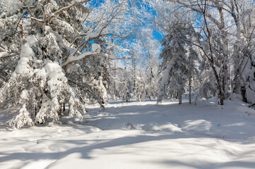 Lao Rik soft rime and snow landscape, northwest of Zhenbong Mountain, at the junction of Helong...