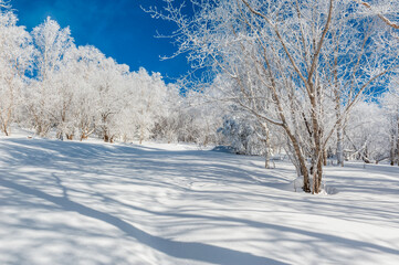 Lao Rik soft rime landscape, northwest of Zhenbong Mountain, at the junction of Helong city and...