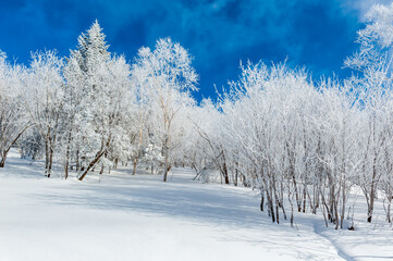 Lao Rik soft rime landscape, northwest of Zhenbong Mountain, at the junction of Helong city and...