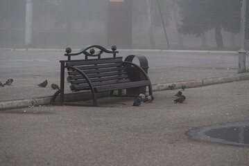 A wooden sofa in the square with pigeons standing near it. Early morning with fog. Cityscape.