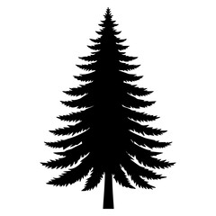 Pine Tree vector silhouette black color 19