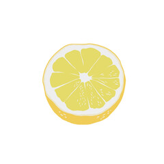A fresh lemon icon on a white background. Vector illustration.