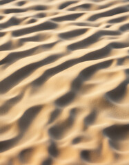 Beautiful sand on the sea, vertical background.