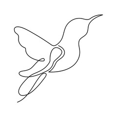 Continuous single-line art of hummingbird. Cute hummingbird one-line drawing vector and illustration
