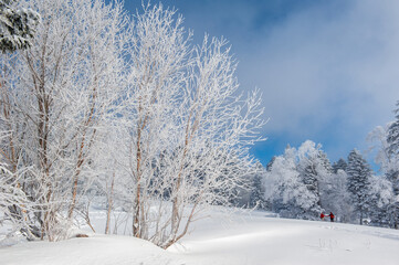 Visitors in Lao Rik scenic spot, northwest of Zhenbong Mountain, at the junction of Helong city and Antu County, Yanbian Korean Autonomous Prefecture, Jilin Province, China