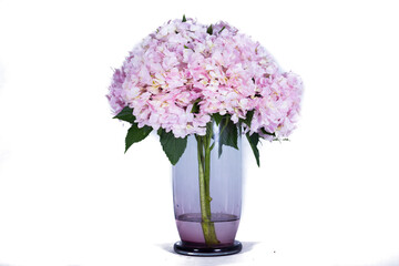 Naklejka na ściany i meble Beautiful flowers in a vase