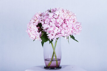 Beautiful flowers in a vase