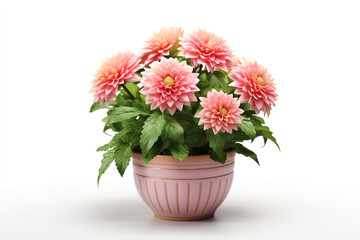 Naklejka premium decorative flower in a pot isolated on white background, 3D illustration