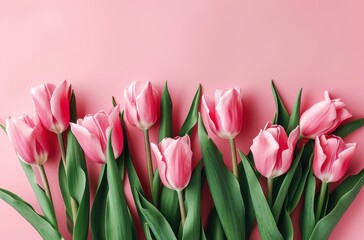 Bouquet of pink tulips flowers on pastel pink background.