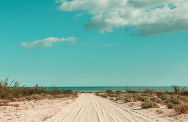 Road in Baja