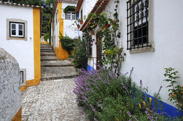 Fototapeta na wymiar the small village of Obidos in Portugal
