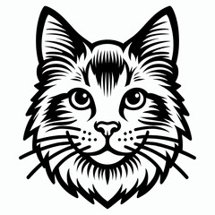 black and white cat head