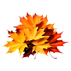Autumn Leaves Pile Isolated on Transparent Background
