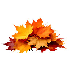 Autumn Leaves Pile Isolated on Transparent Background

