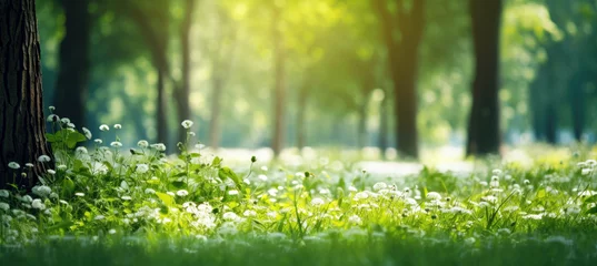 Papier Peint photo autocollant Herbe Summer Beautiful spring perfect natural landscape background, Defocused green trees in forest with wild grass and sun beams