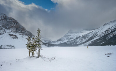 Small spruce trees and incidental people at frozen Bow Lake in Banff National Park, Alberta, Canada