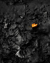 A single autumn leaf on black mud