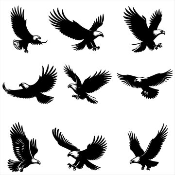 set of eagle silhouettes ,set of birds