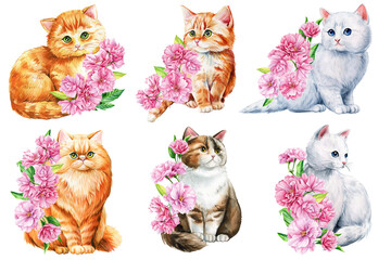 Cute cat set with pink apple flowers, sakura. Watercolor painting illustration, Spring Animal for design, poster, cards © Hanna
