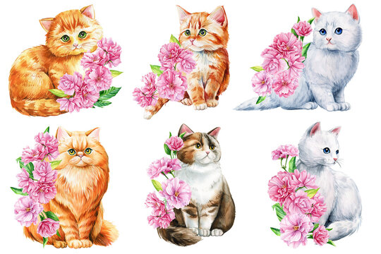 Cute cat set with pink apple flowers, sakura. Watercolor painting illustration, Spring Animal for design, poster, cards
