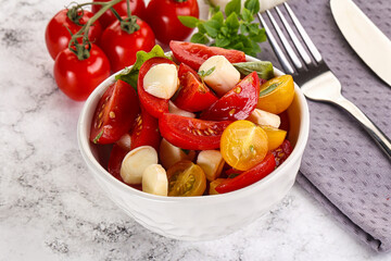 Italian Caprese salad with tomato and mozzarella