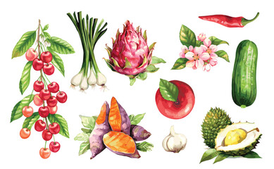 Watercolor painted collection of vegetables and fruits. Hand drawn fresh food design elements isolated on white background