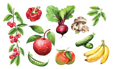 Watercolor painted collection of vegetables and fruits. Hand drawn fresh food design elements isolated on white background