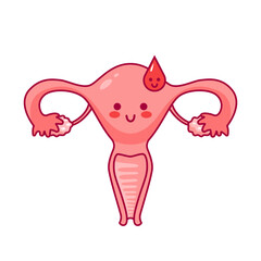 Uterus. Cute cartoon character in kawaii style. Drop of blood, menstruation. Women Health. Female reproductive system, cycle. anatomy, cervix, ovaries, fallopian tubes. Vector illustration, flat style
