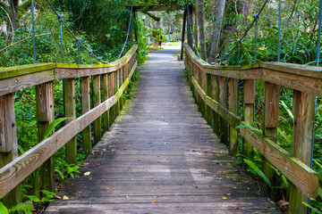 Fototapeta premium Bridge in jungle