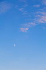 Mezza Luna nel cielo azzurro