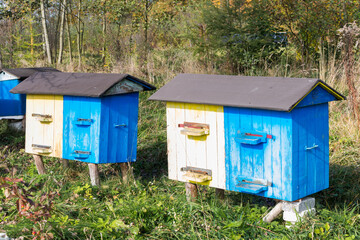 beehives for bees