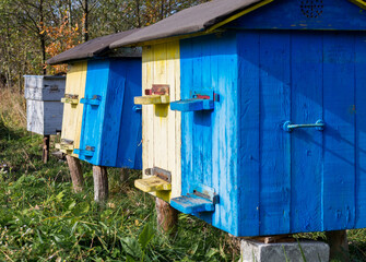 beehives for bees