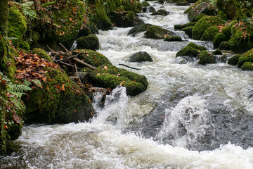 Waterfall in Woodland Valley in Cornwall, UK with frozen motion photography 