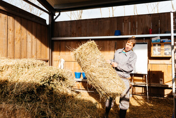 Young woman carrying hay while working in shed